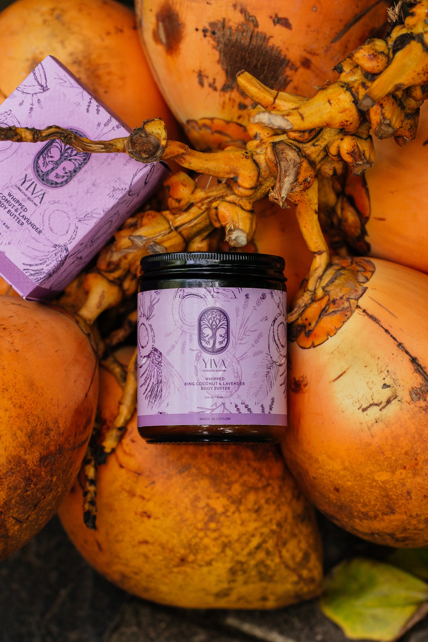 Whipped King Coconut Lavender Body Butter