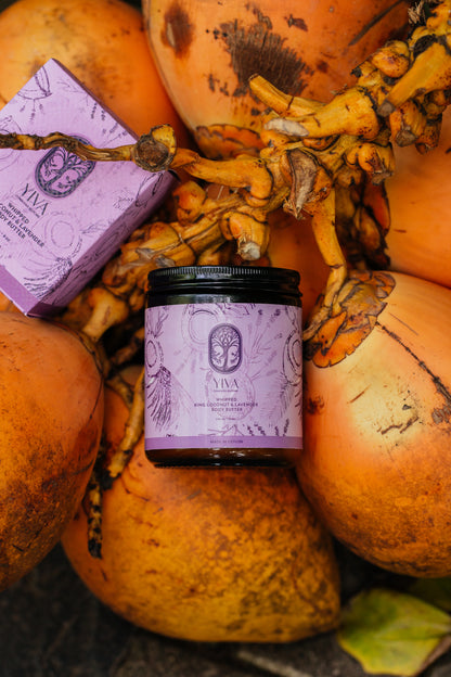 Whipped King Coconut Lavender Body Butter